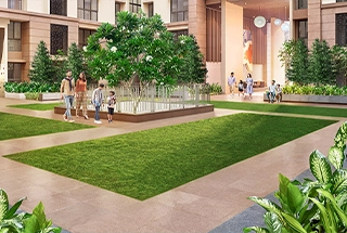 Walking Area